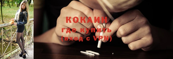 ешки Гусев